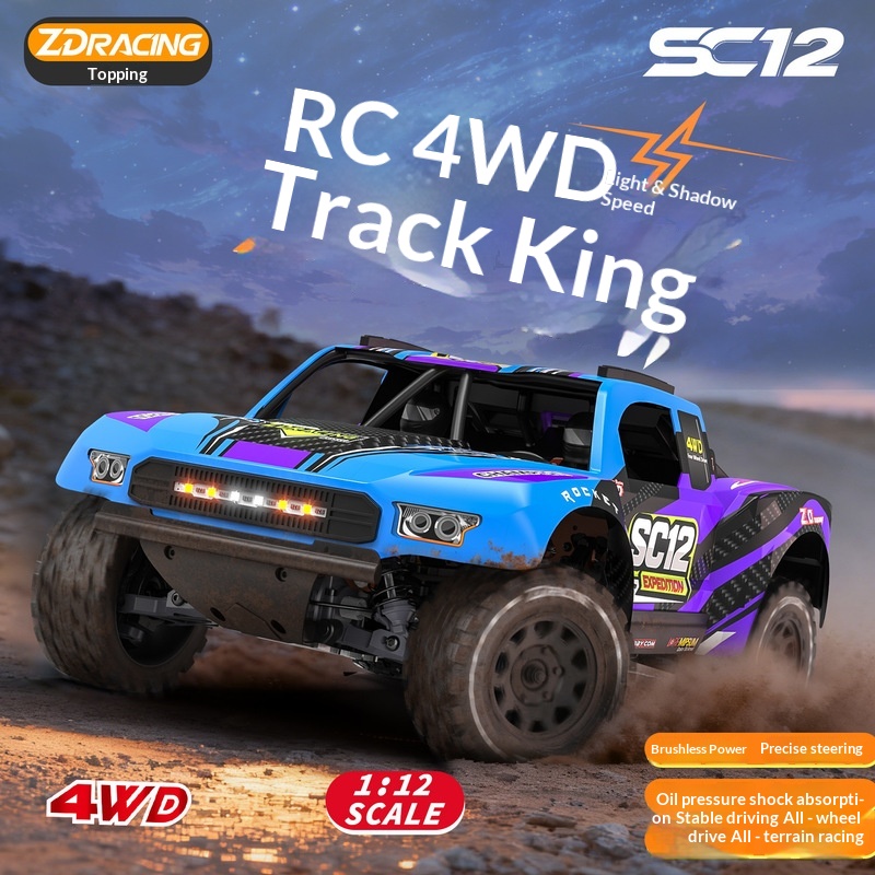 Zd Racing Rc Remote Control Ca - огляд і ціна Rc Drift Car 1 24 Scale 4Wd