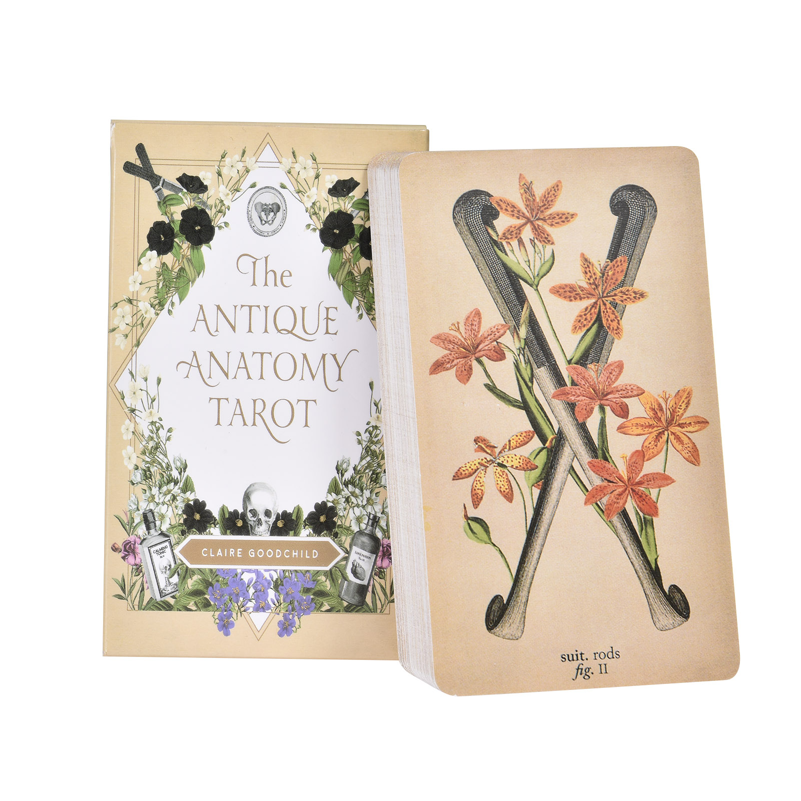 The Antique Anatomy Tarot Card - огляд і ціна Tarot Cards Deck With Guidebook